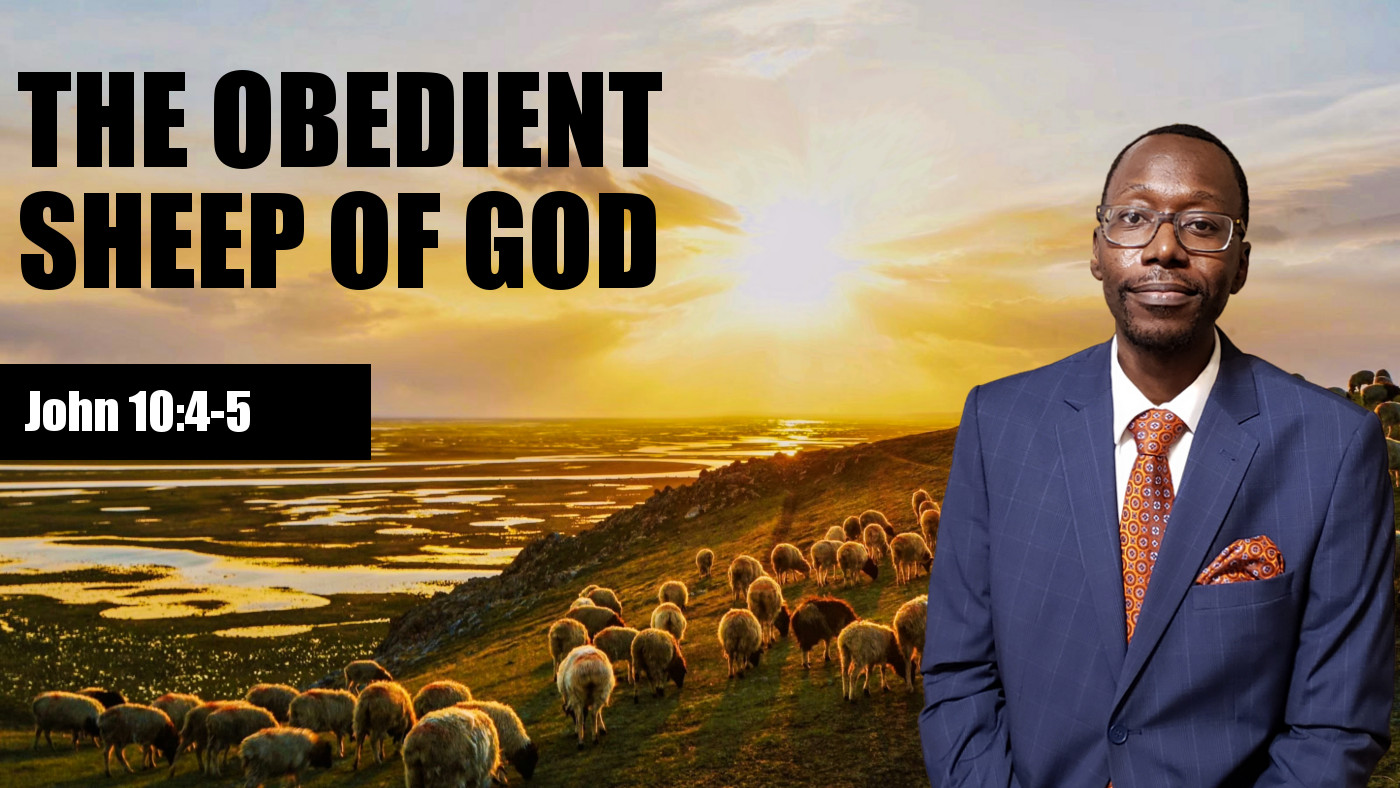 The Obedient Sheep of God Banner