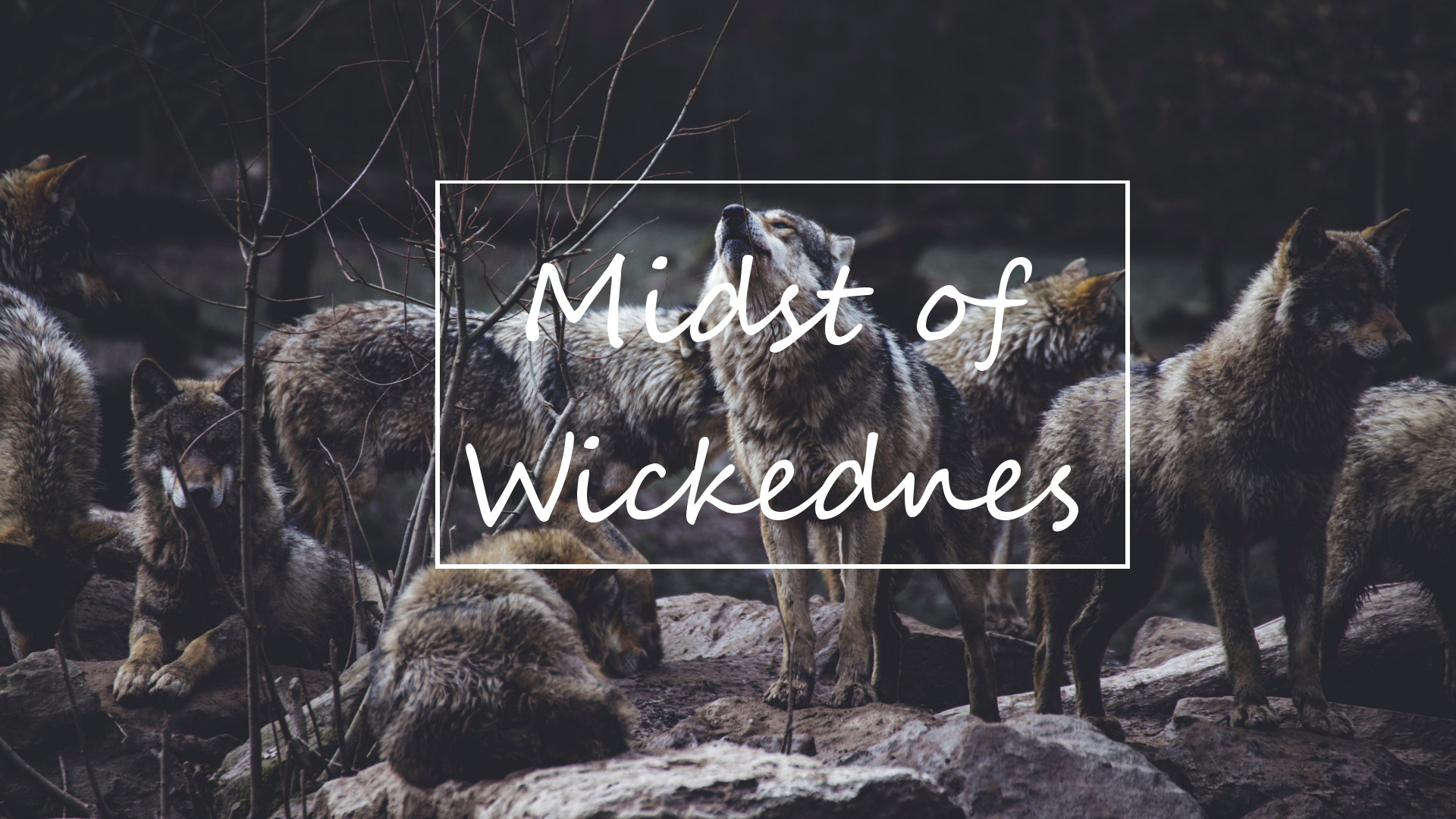 In the Midst of Wickedness Banner