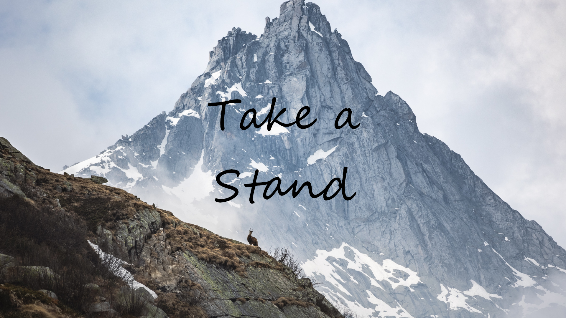 Take a Stand Banner