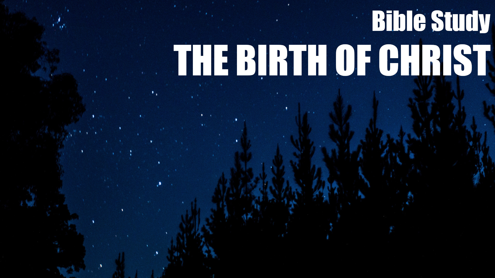 The Birth of Christ Banner