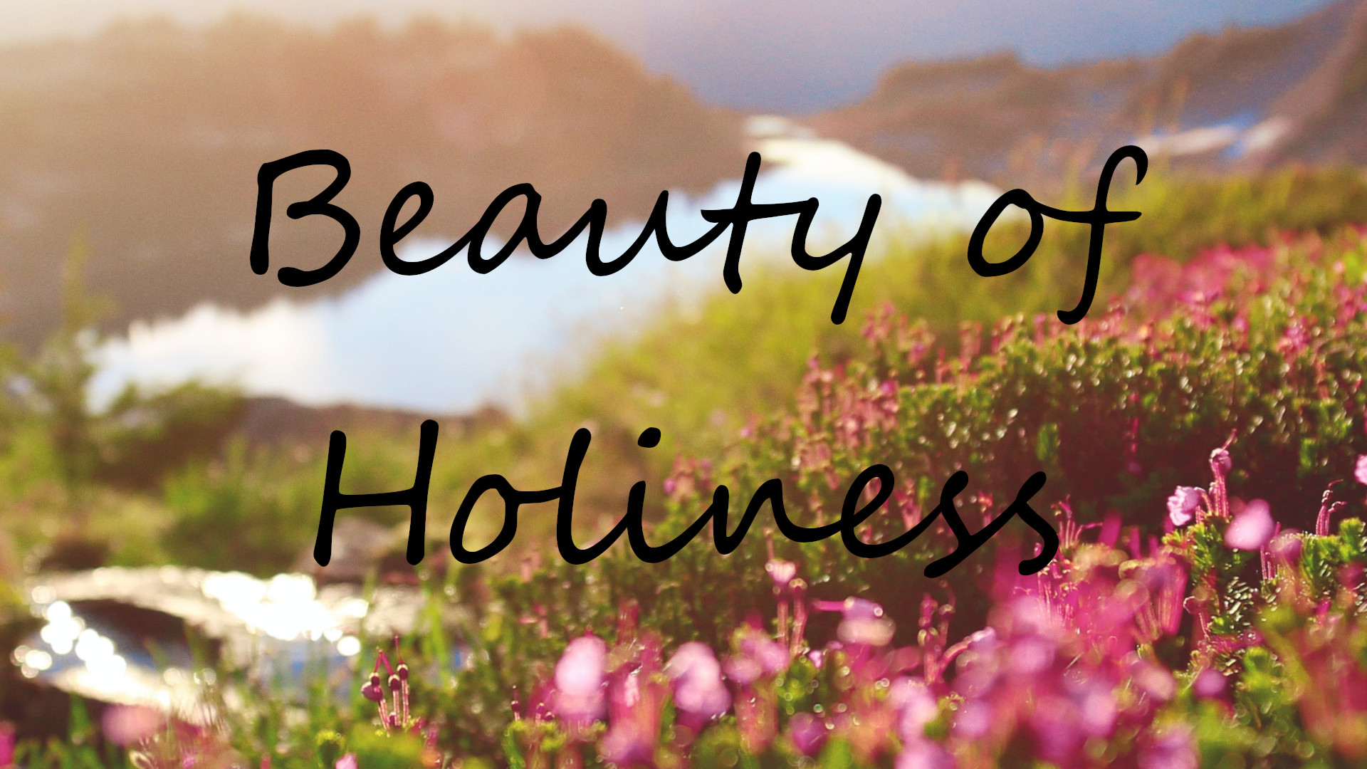 In the Beauty of Holiness Banner