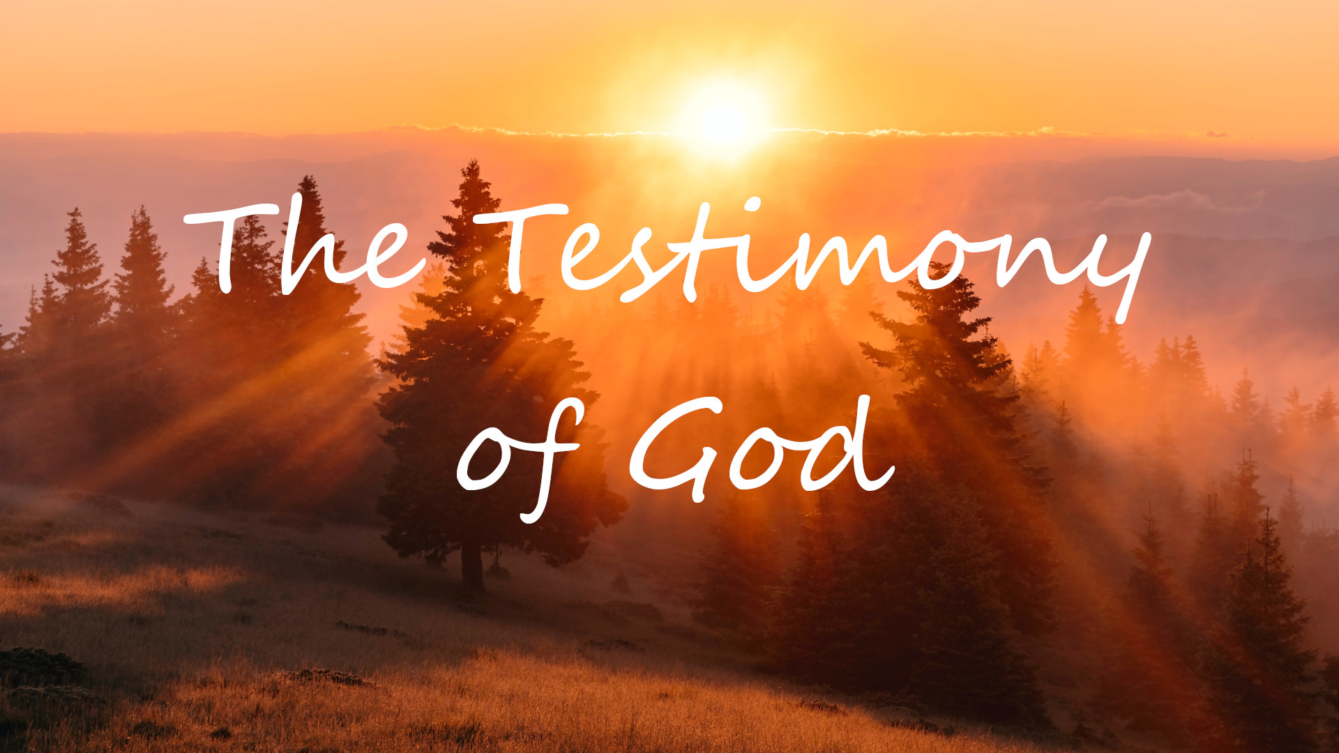 The Testimony of God Banner