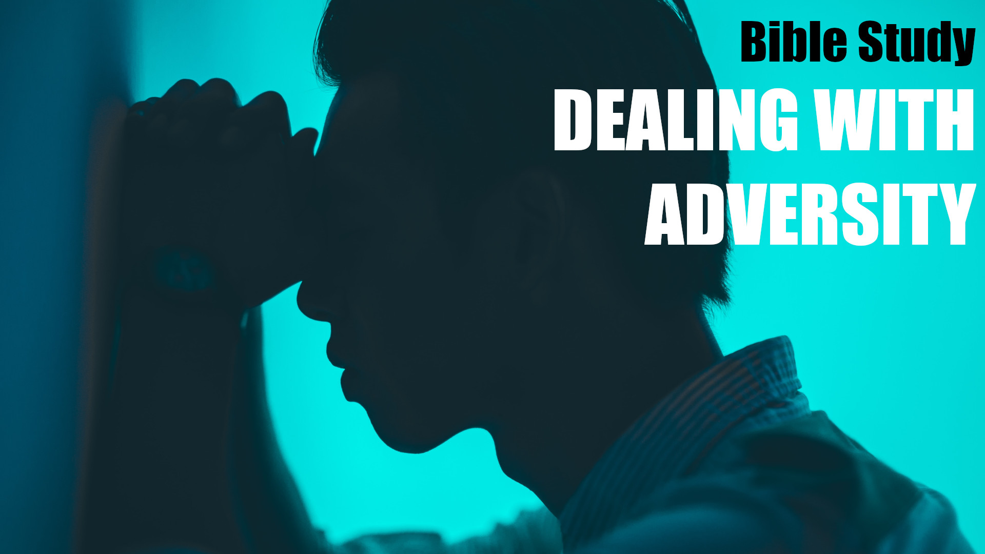 Dealing With Adversity Bible Study Banner