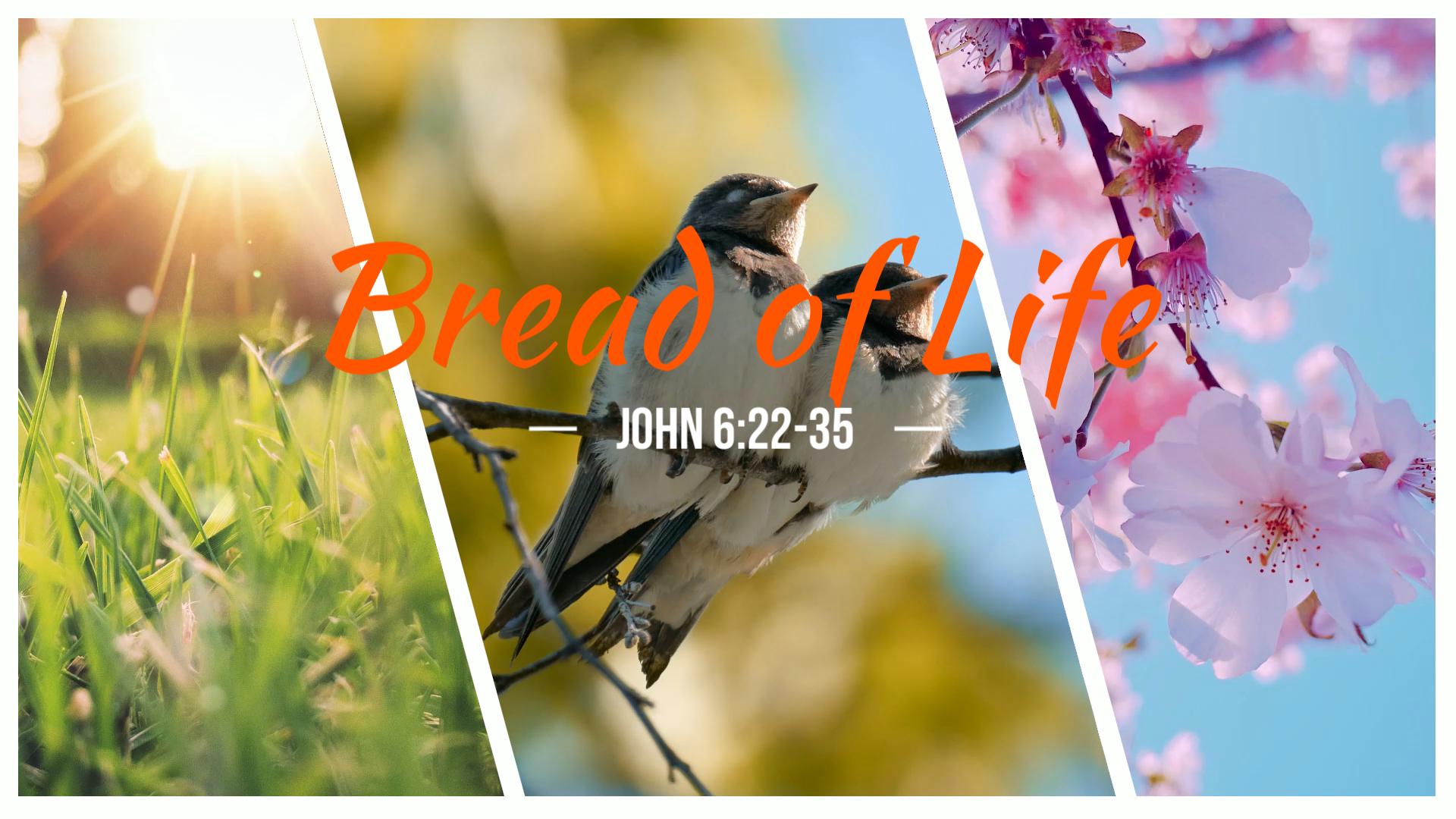 Bread of Life Banner