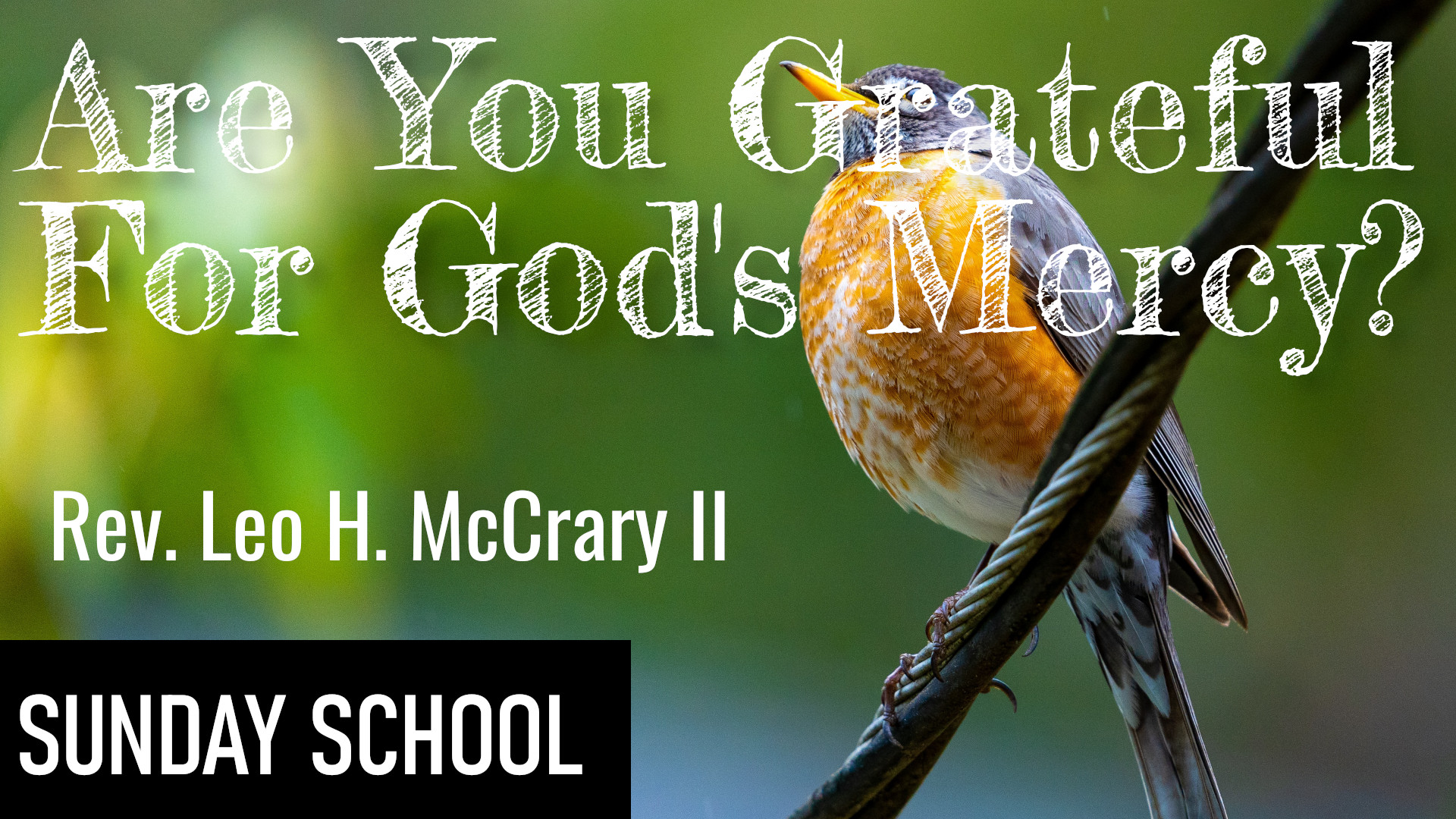 God's Great Mercy Banner