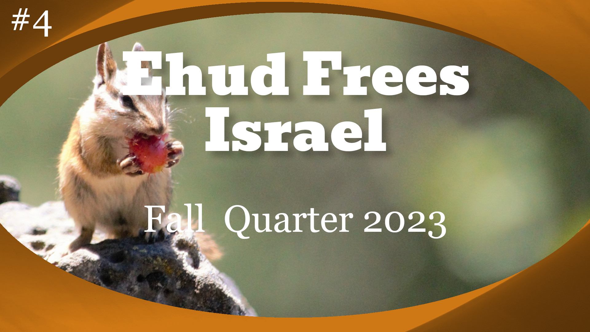 Ehud Frees Israel Banner