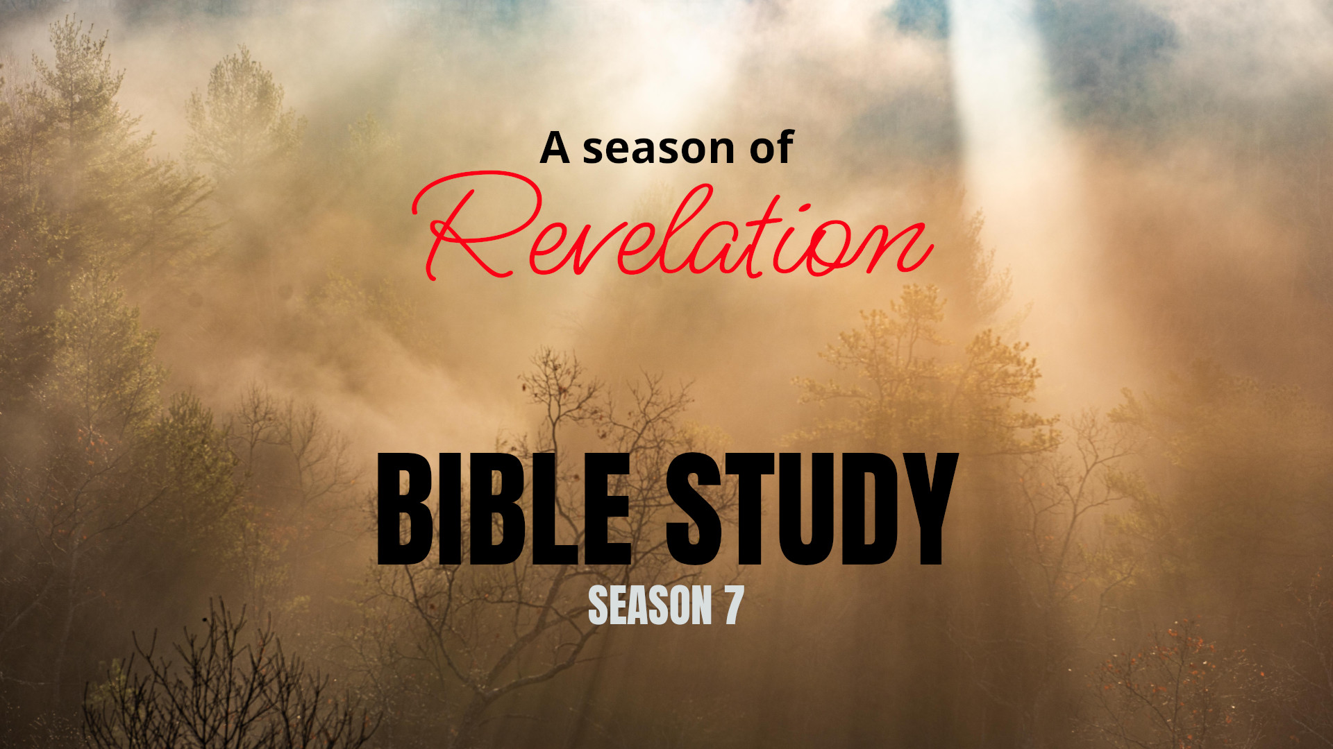 Bible Study Season 7 Study