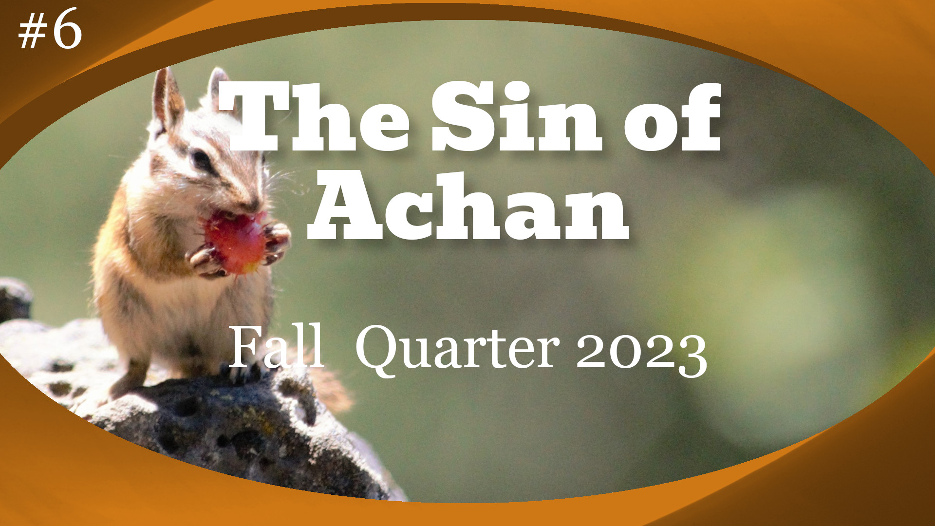 The Sin of Achan Lesson Banner