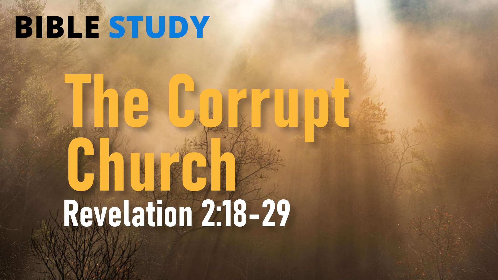 The Corrupt Church Study Banner