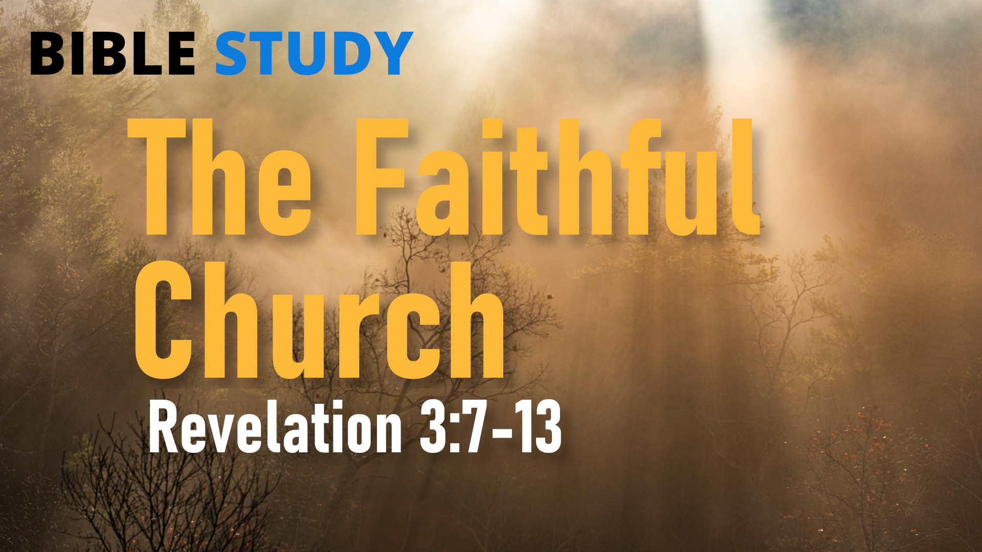 The Faithful Church Study Banner