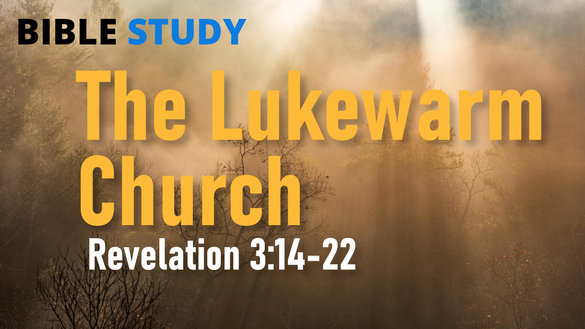 The Lukewarm Church Study Banner