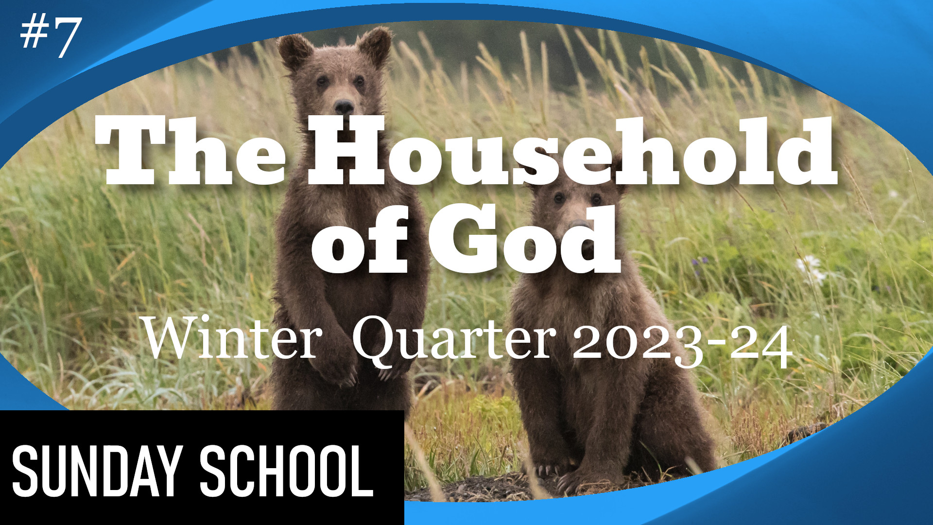 Household of God Lesson Banner