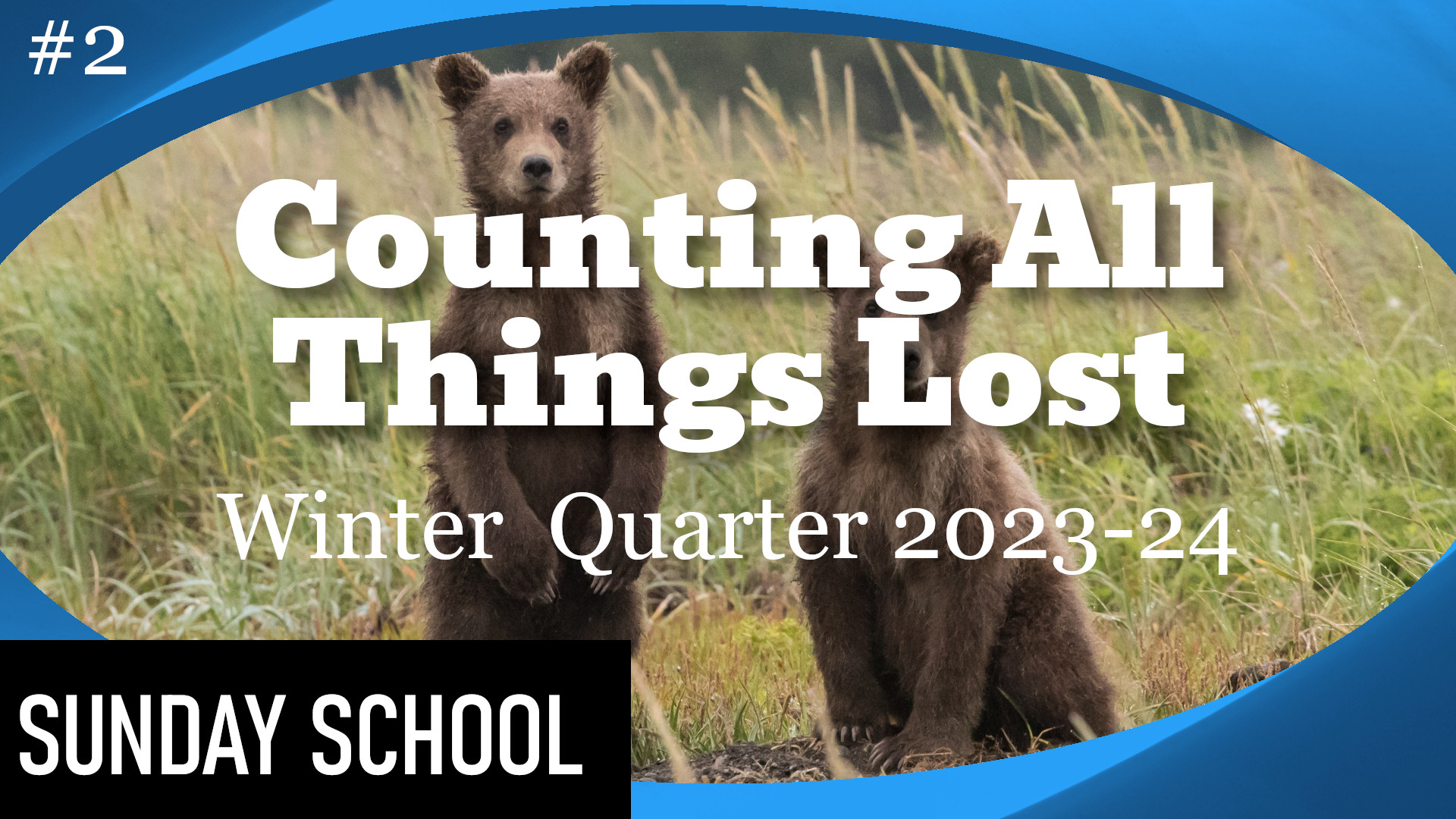 Counting All Things Loss Banner