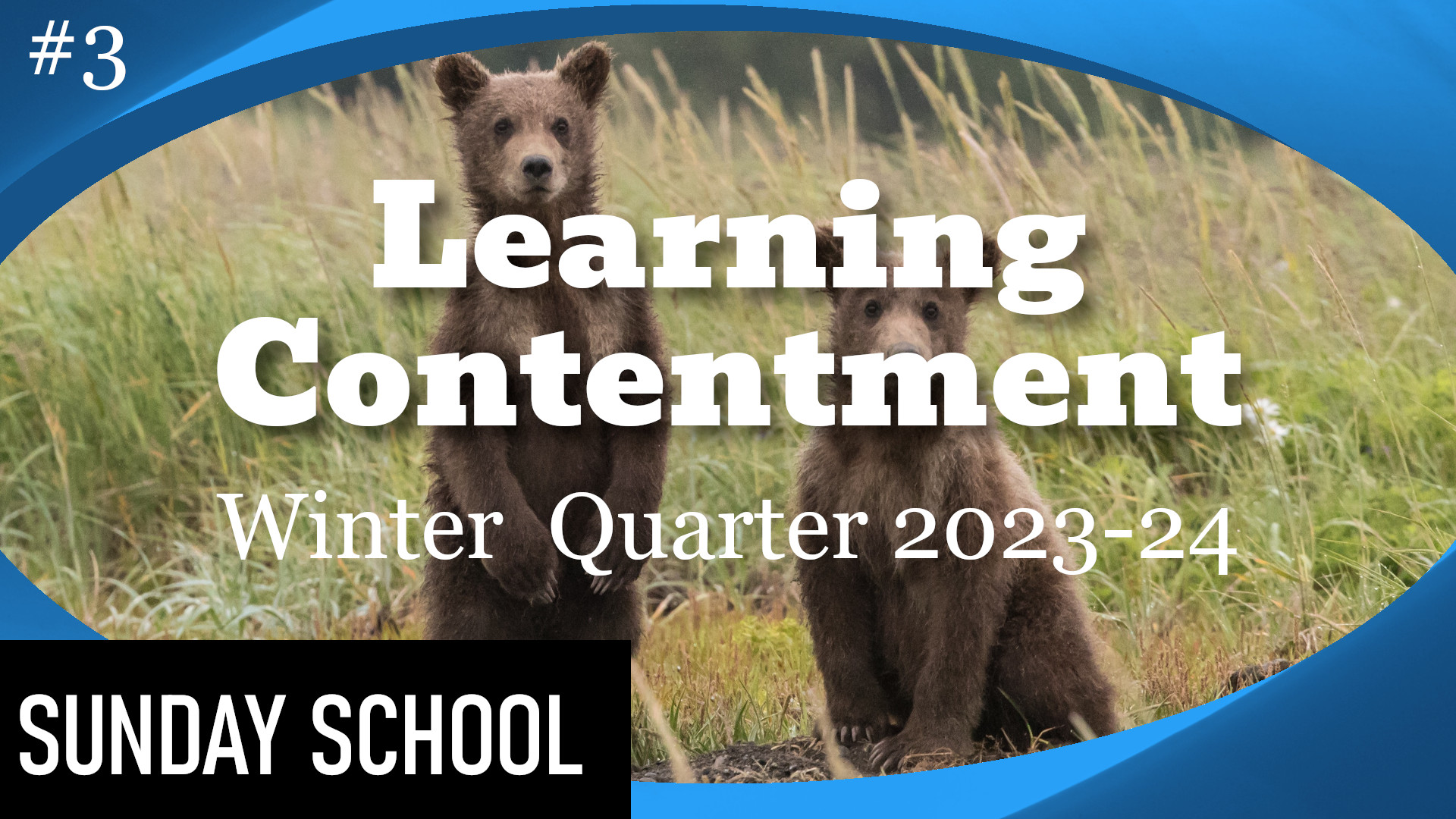Learning Contentment Banner