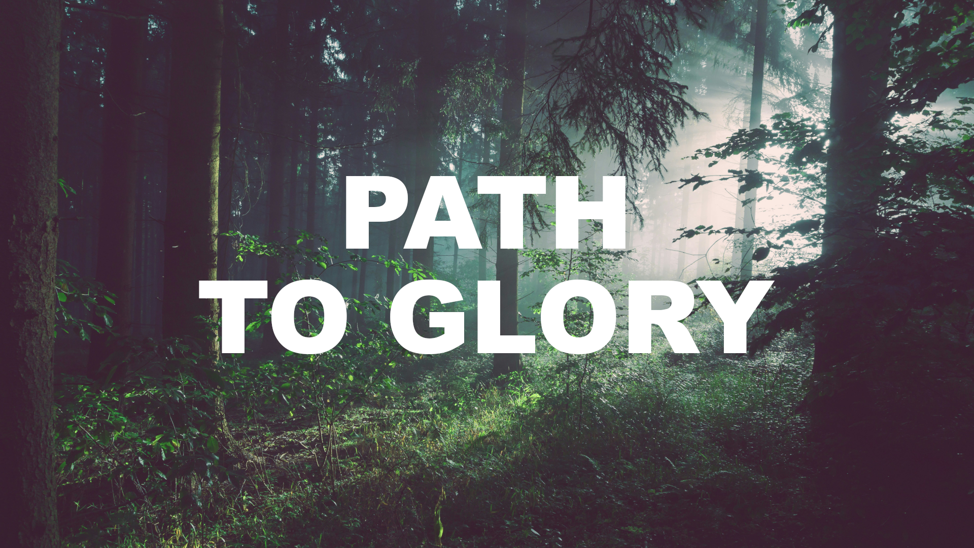 Path to Glory Banner
