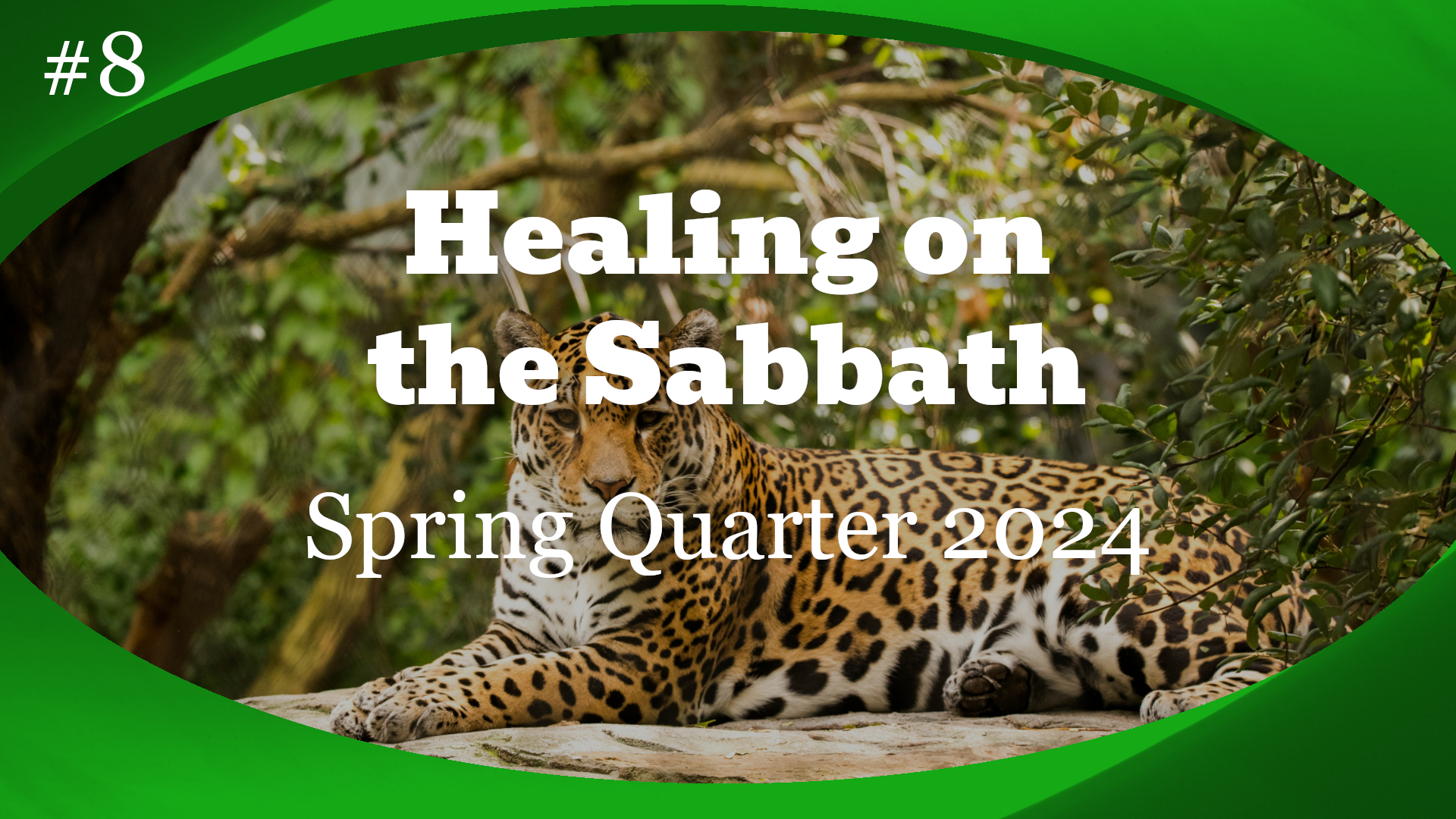 Healing on the Sabbath banner
