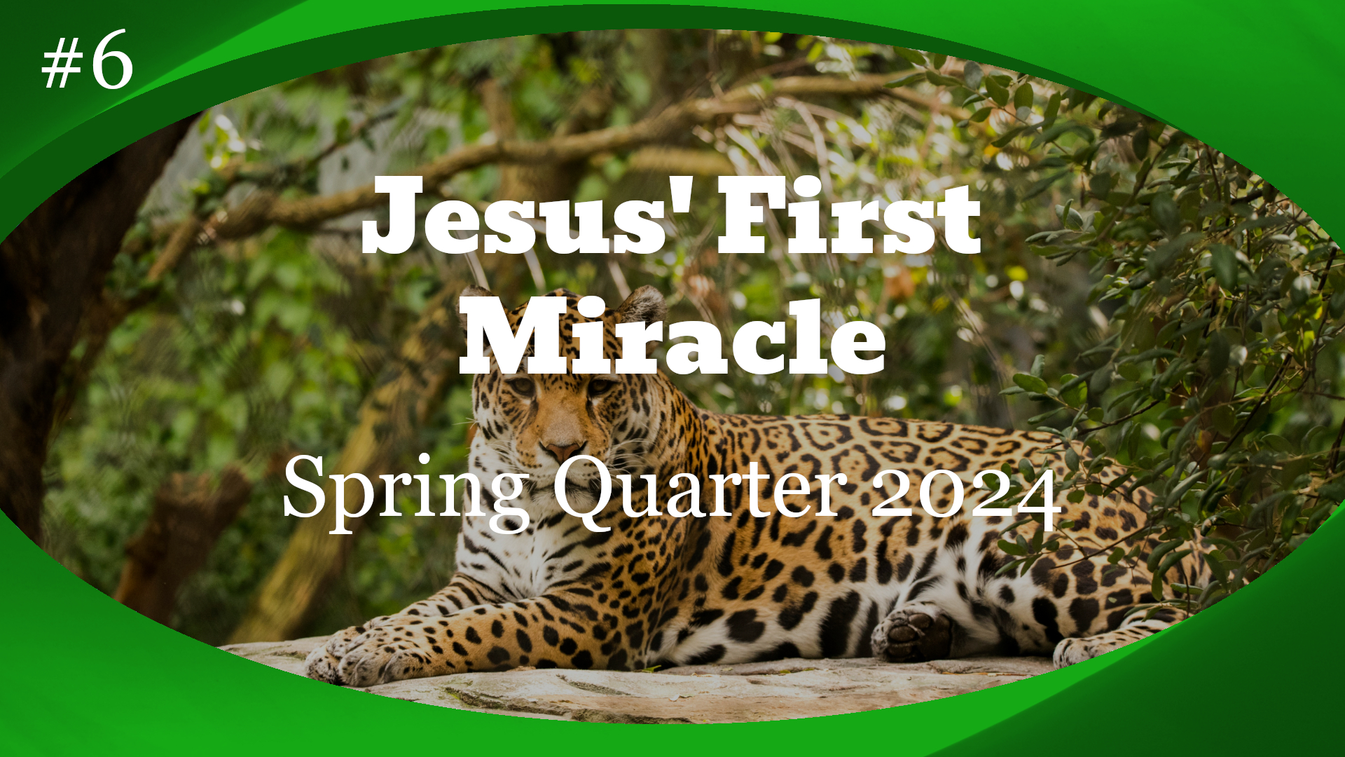 Jesus' First Miracle Lesson Banner