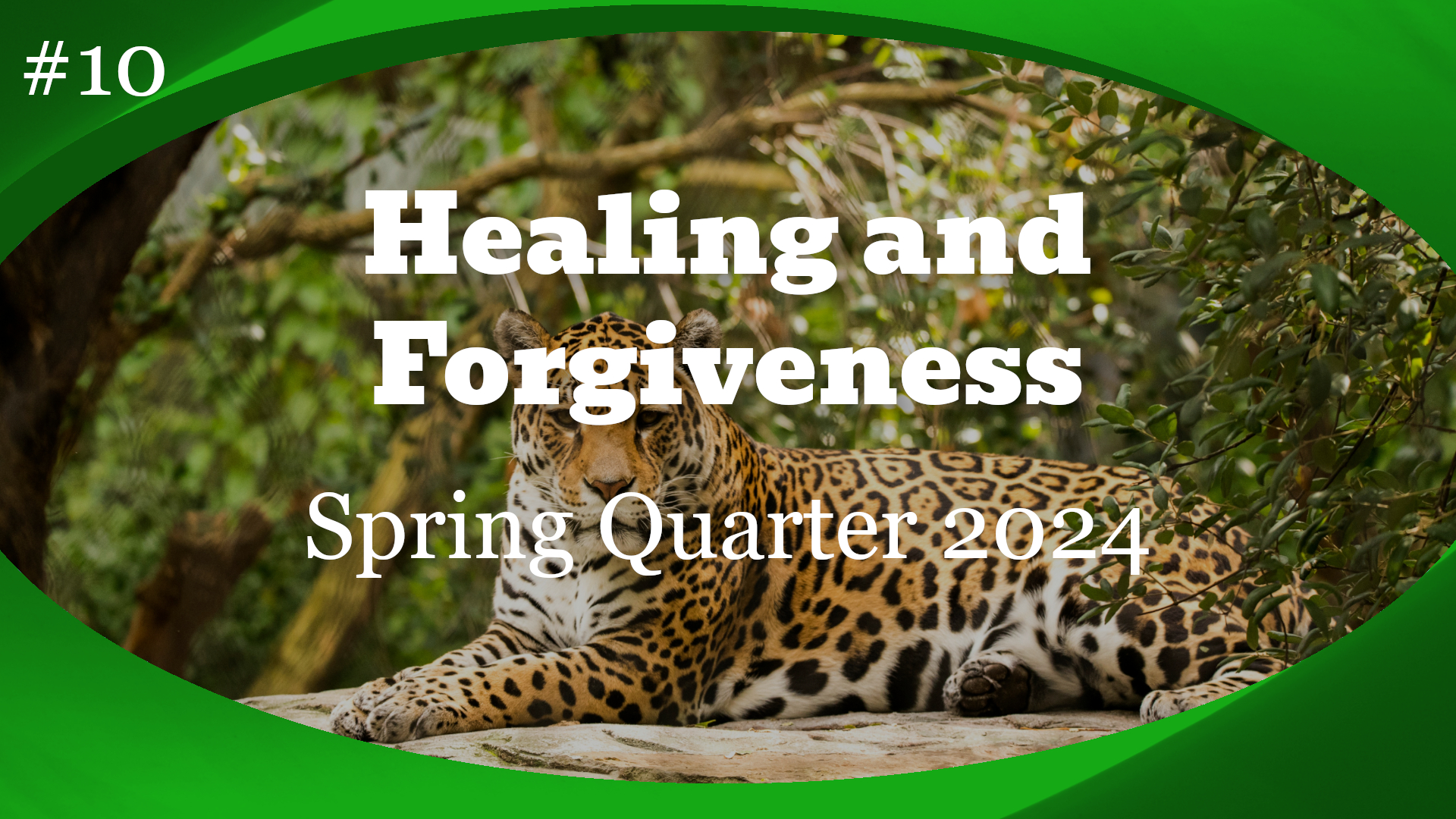 Healing and Forgiveness Lesson Banner