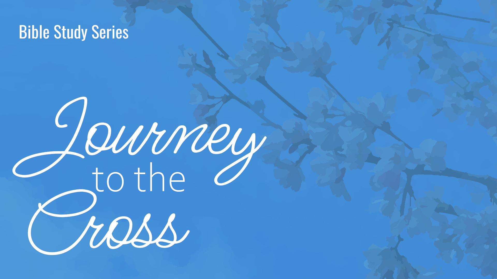 Journey to the Cross Series Banner
