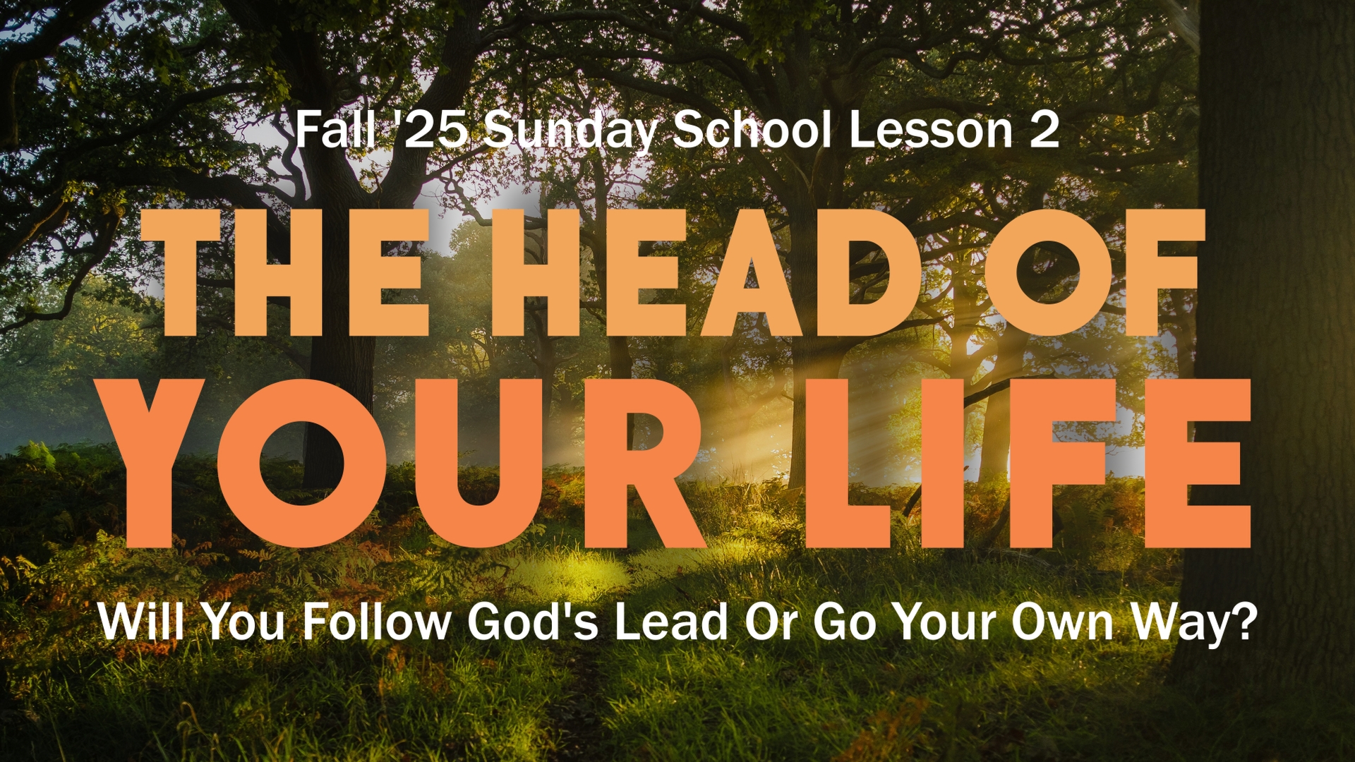 God's Authority is Supreme Lesson Banner