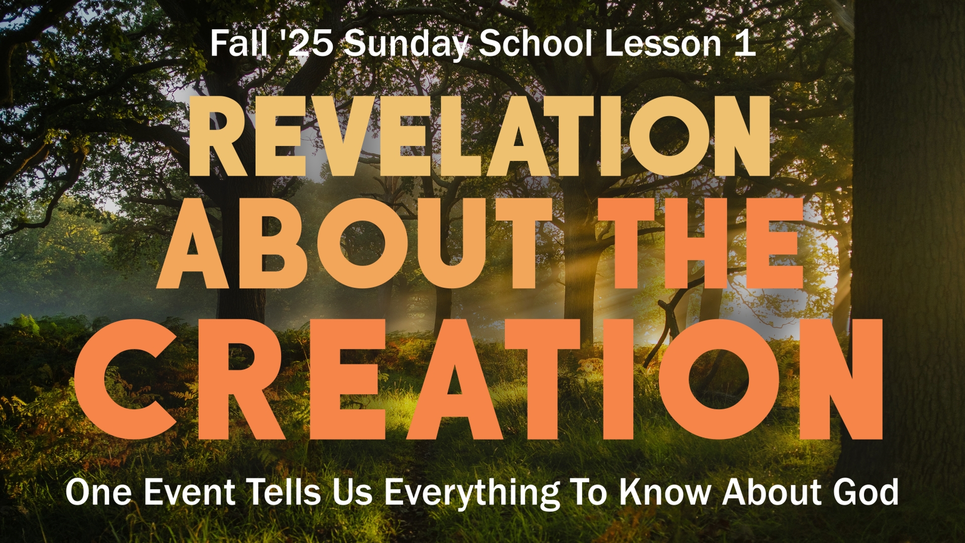 In the Beginning Lesson Banner