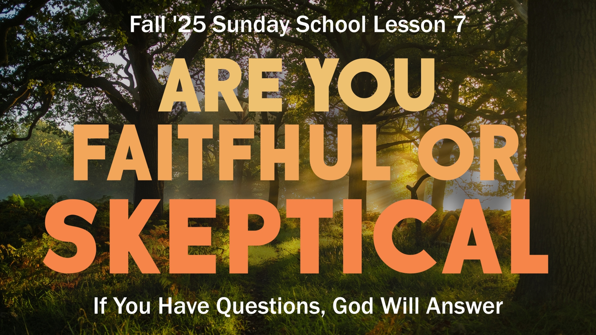 Are you faithful or skeptical banner