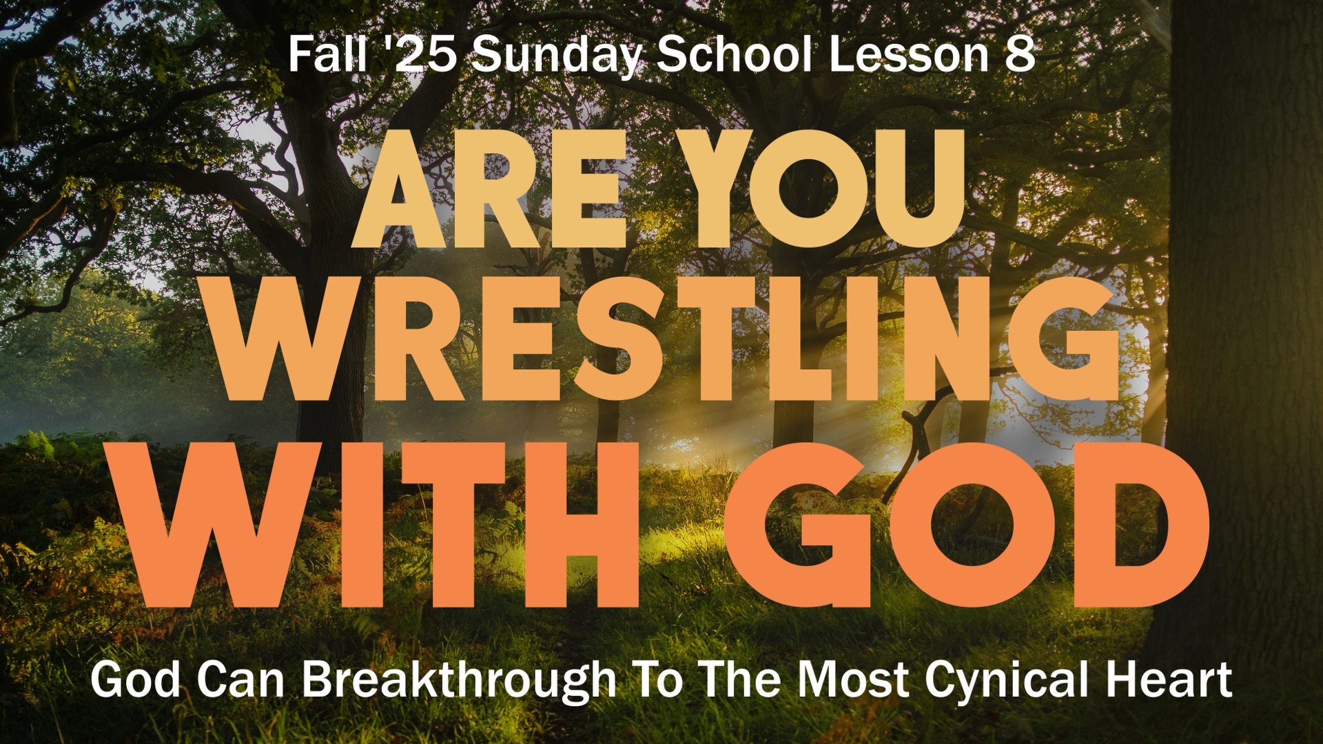 Breaking through to the cynic banner