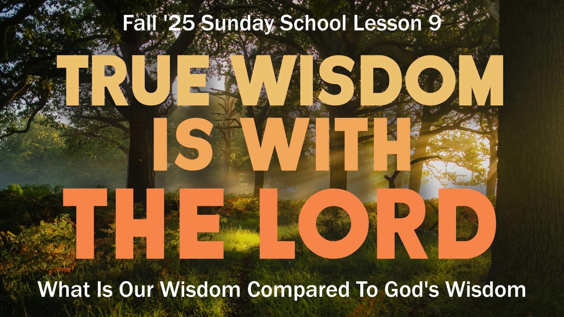 power to impart wisdom lesson banner