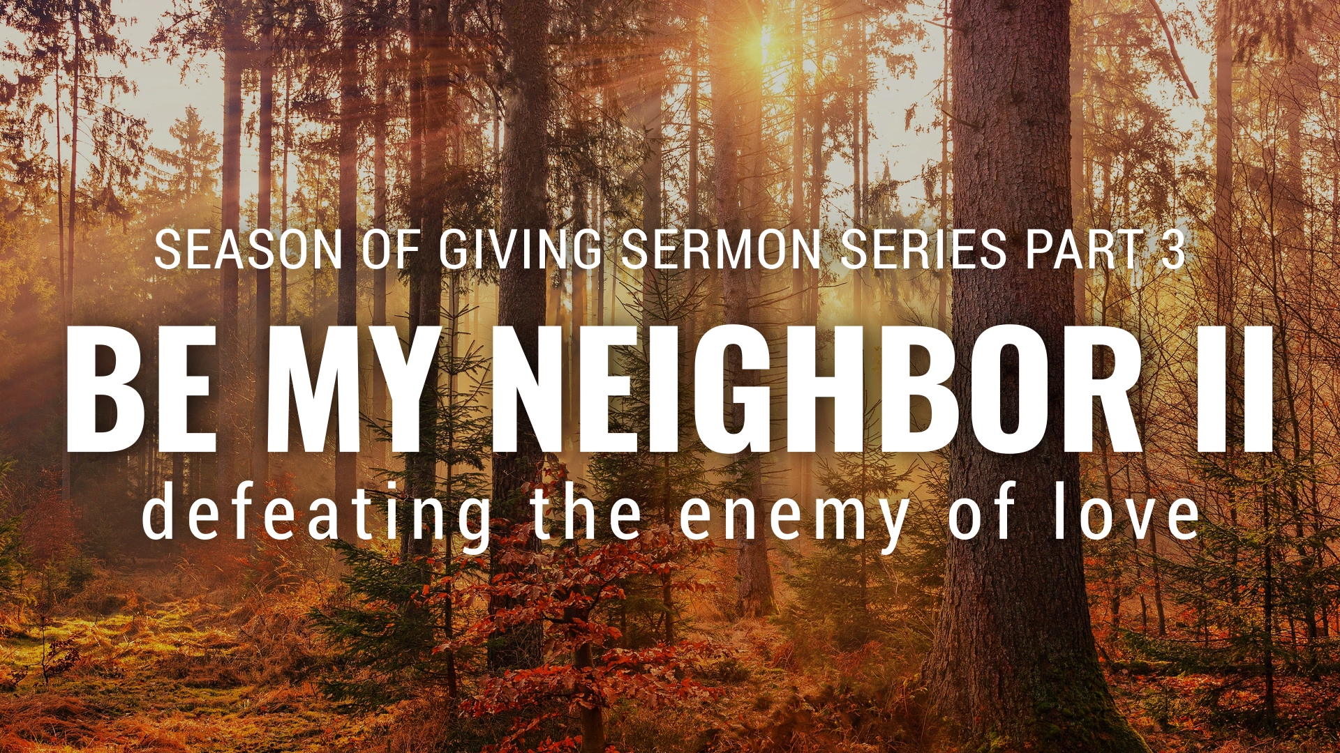 Defeat the enemy of love banner