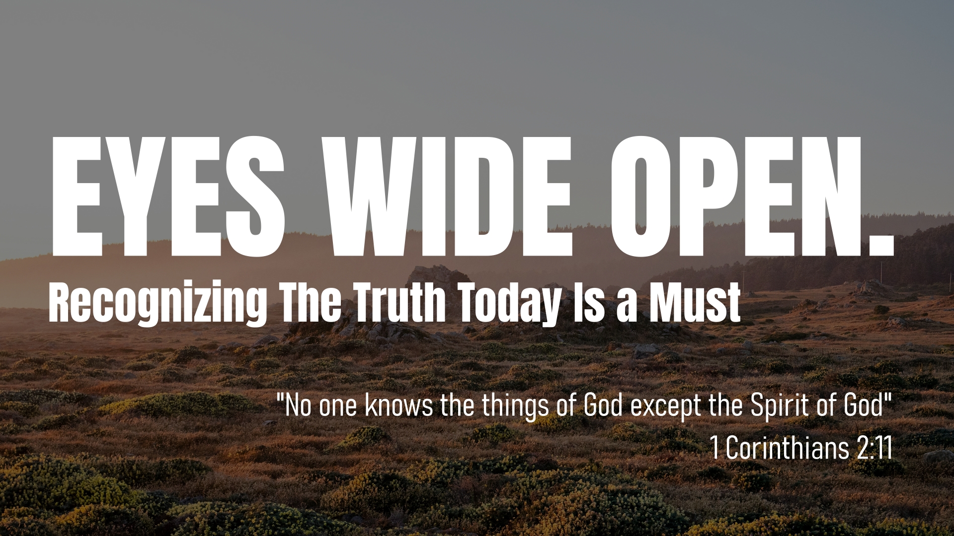 Seeing the Truth Sermon Banner