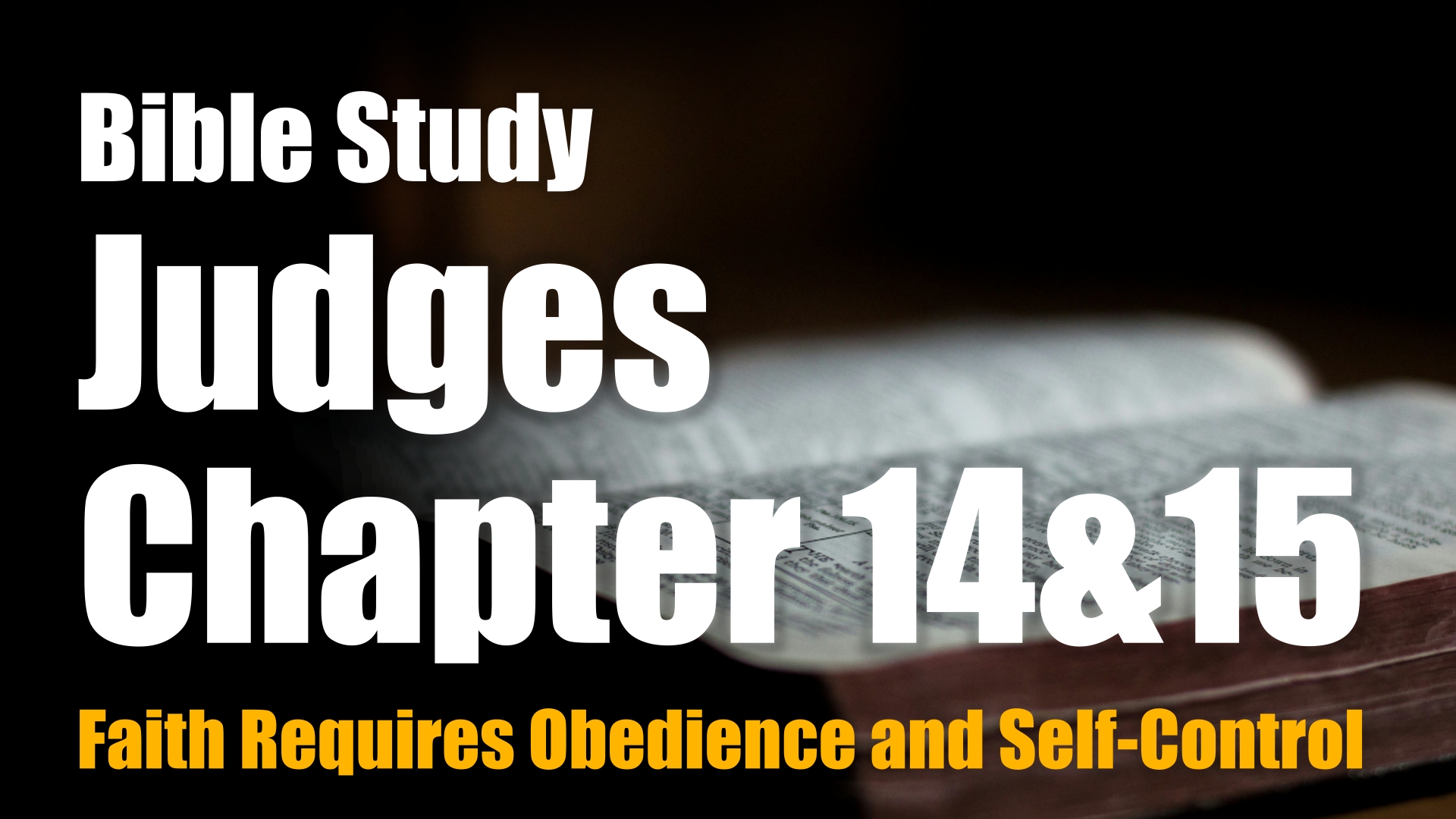 Judges 14-15 Study Banner