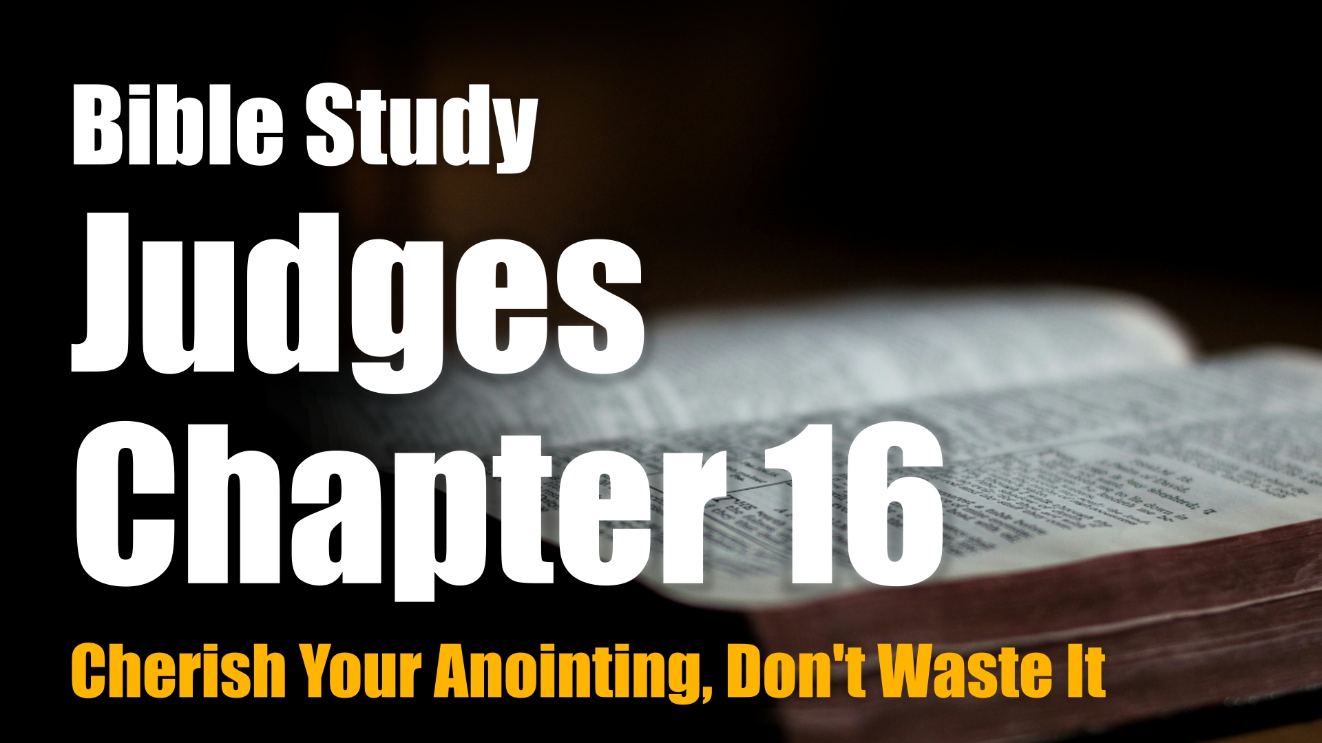 Judges 16 Study Banner