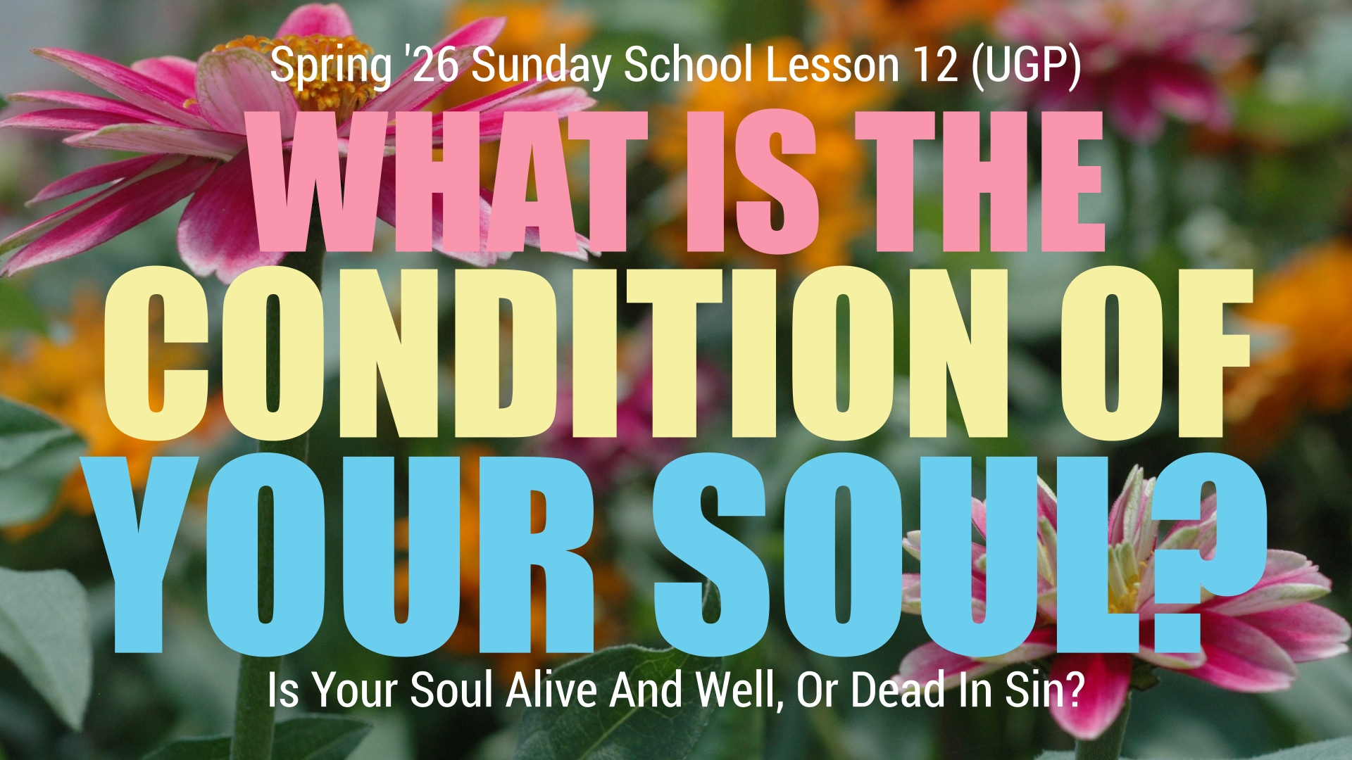 Romans 5 The Second Adam Banner